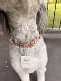 Garden Party Dog Collar