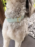 Green Seersucker Dog Collar