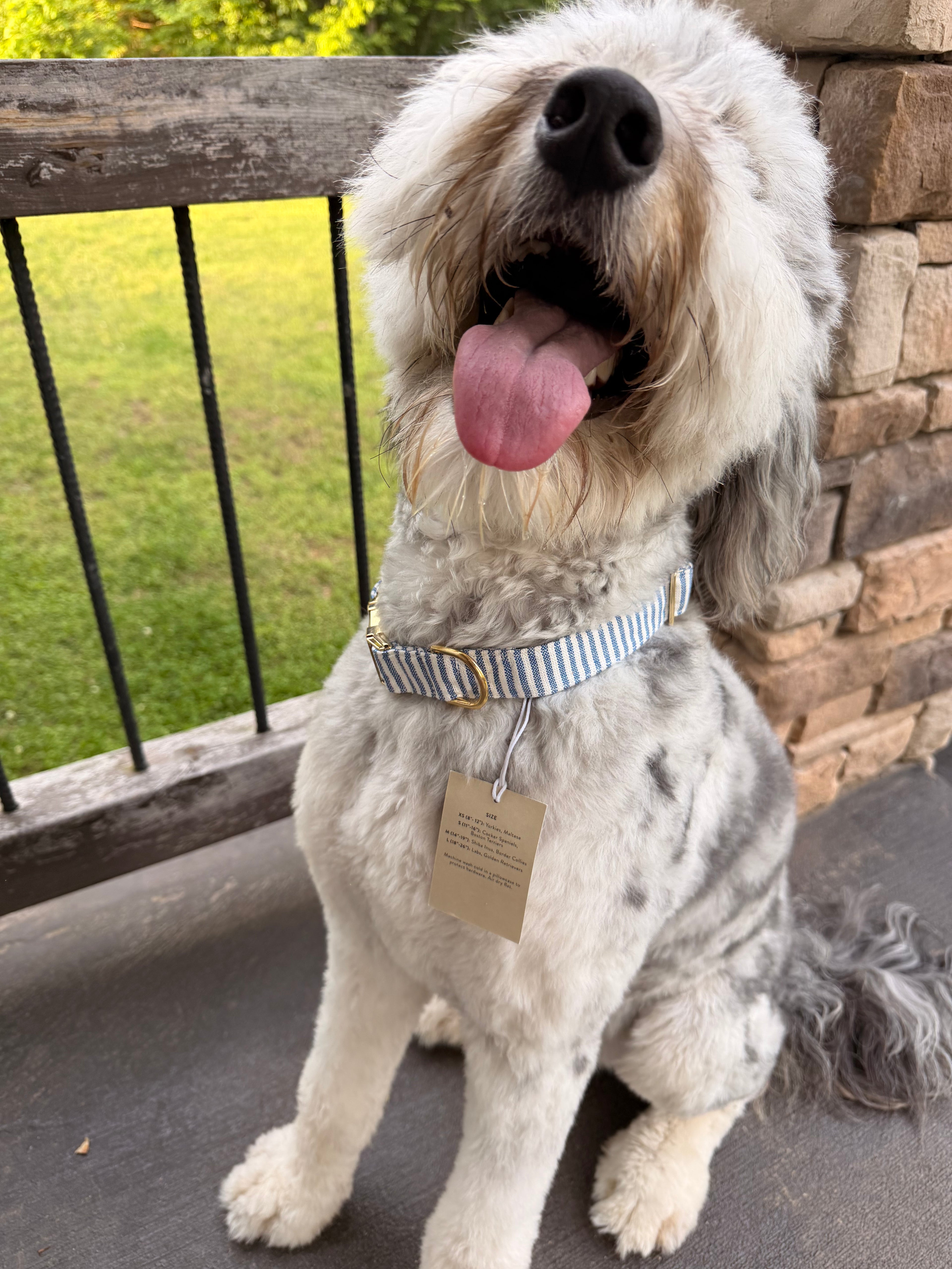 Lake Blue Stripe Summer Dog Collar