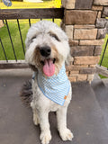 Sky Blue Gingham Dog Bandana