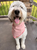 Red Stripe Dog Bandana