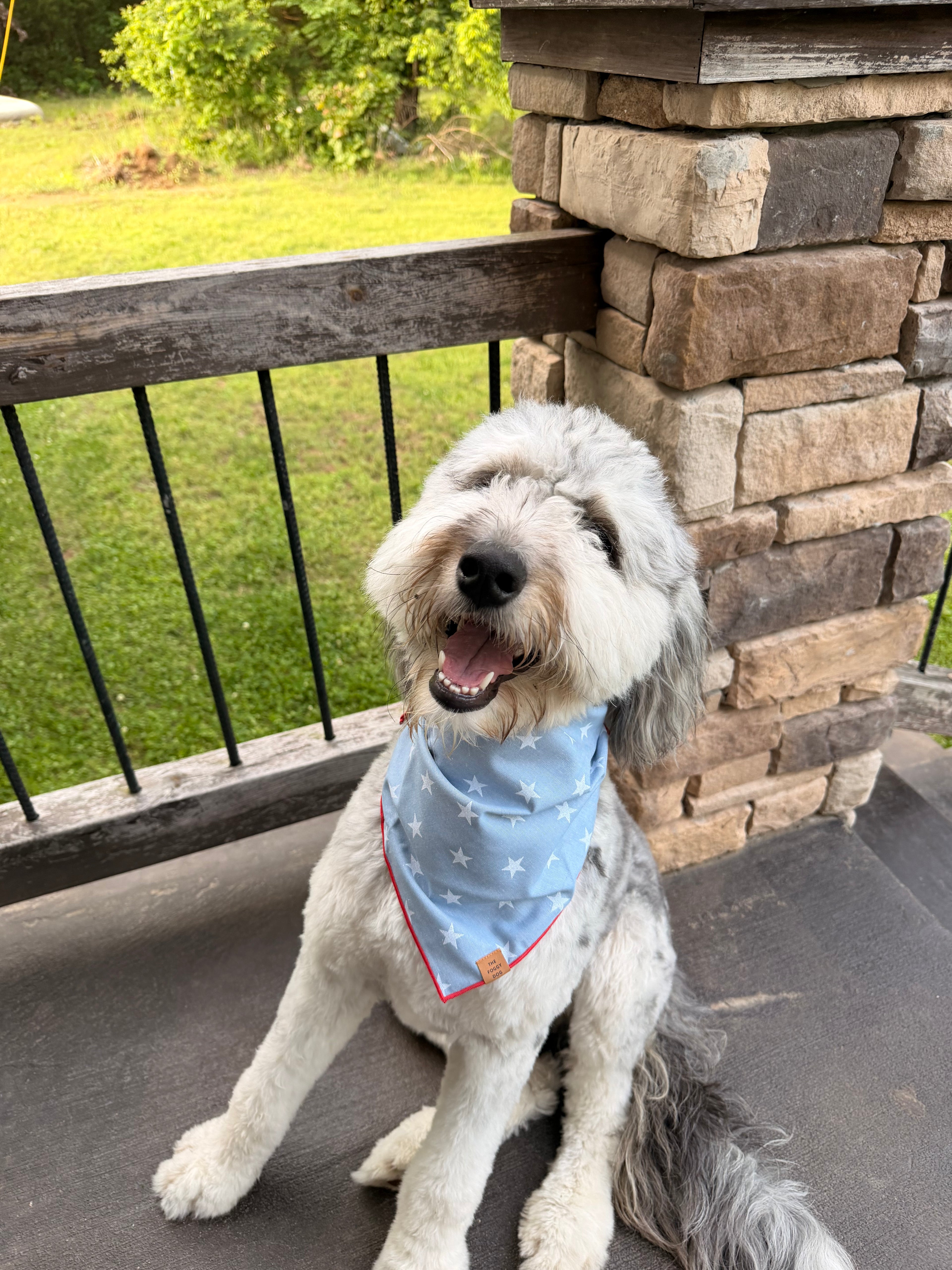 Liberty Dog Bandana